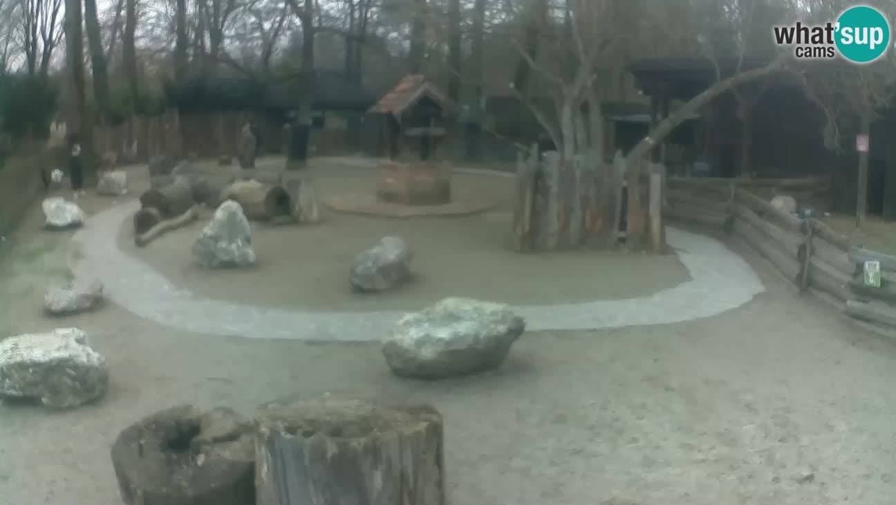 Zoo Zagreb – Haubenkapuziner