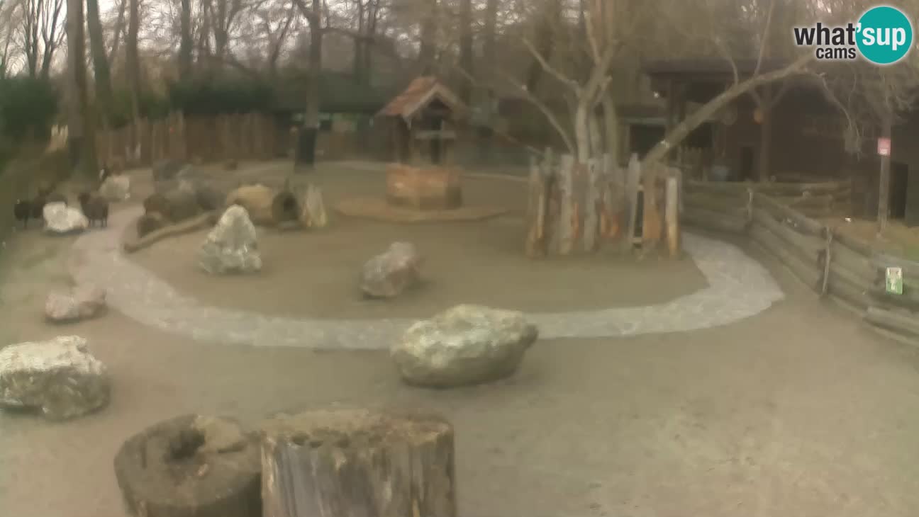 Zoo Zagreb – Cebo dai cornetti