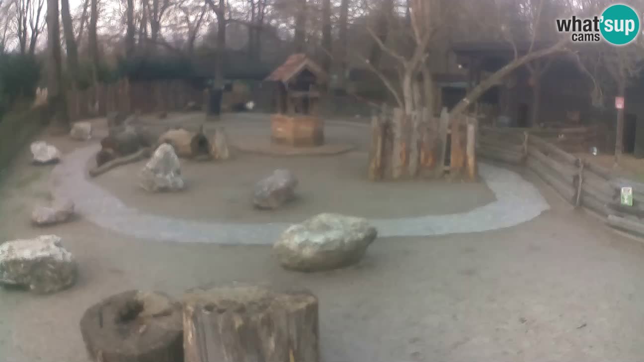 Zoo Zagreb – Cebo dai cornetti