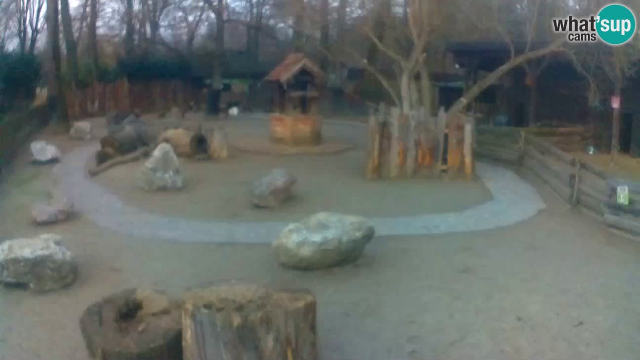 Zoo Zagreb – Haubenkapuziner