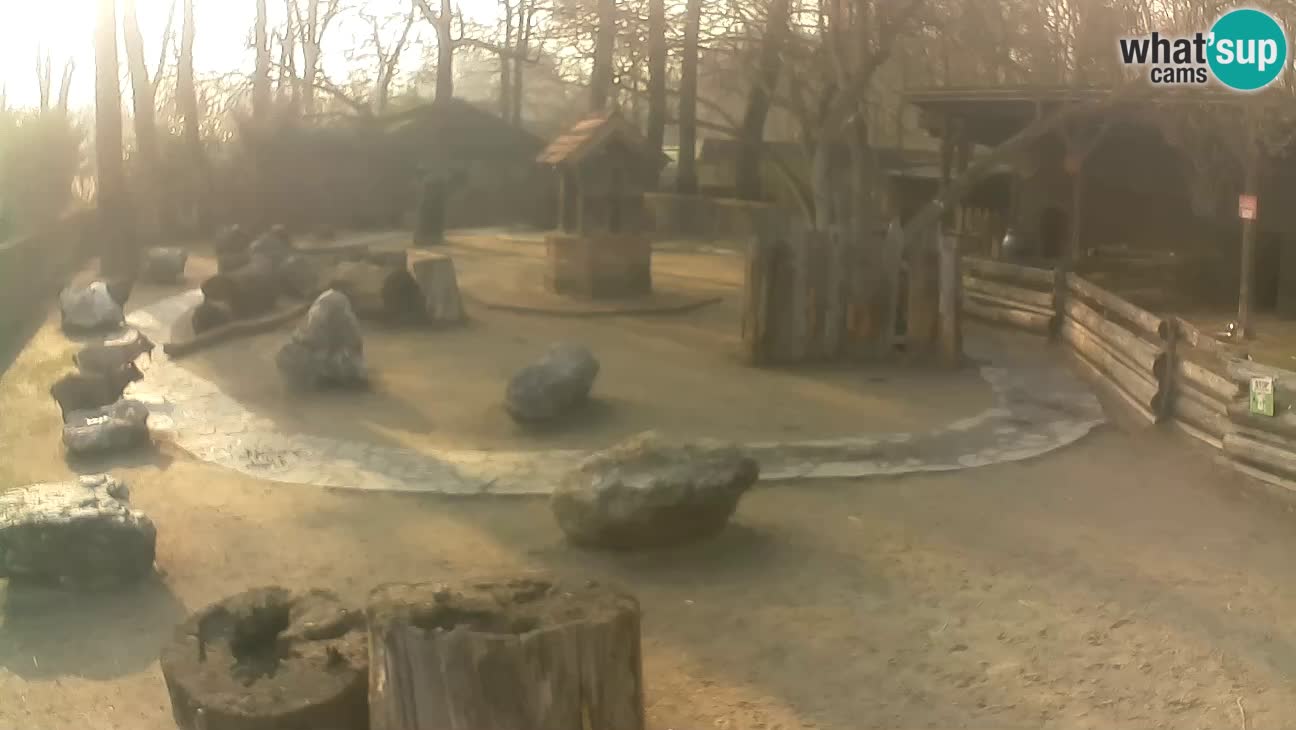 Zoo Zagreb –  Mono maicero