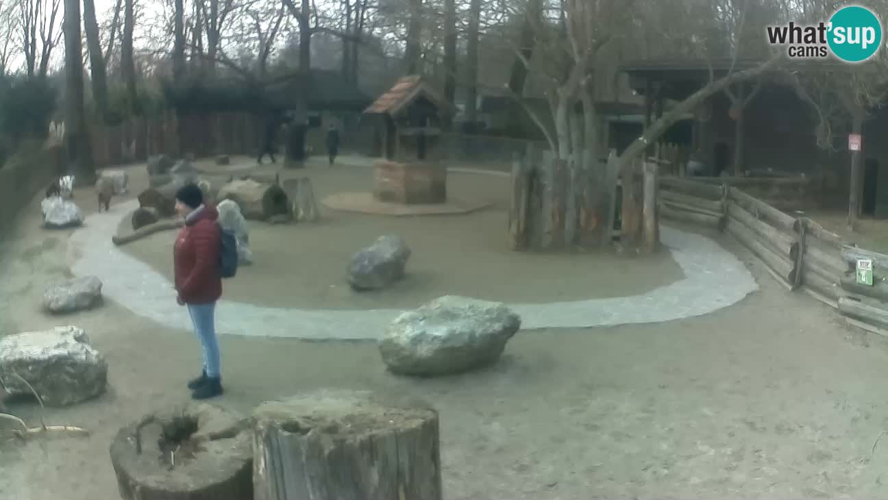 Zoo Zagreb –  Mono maicero