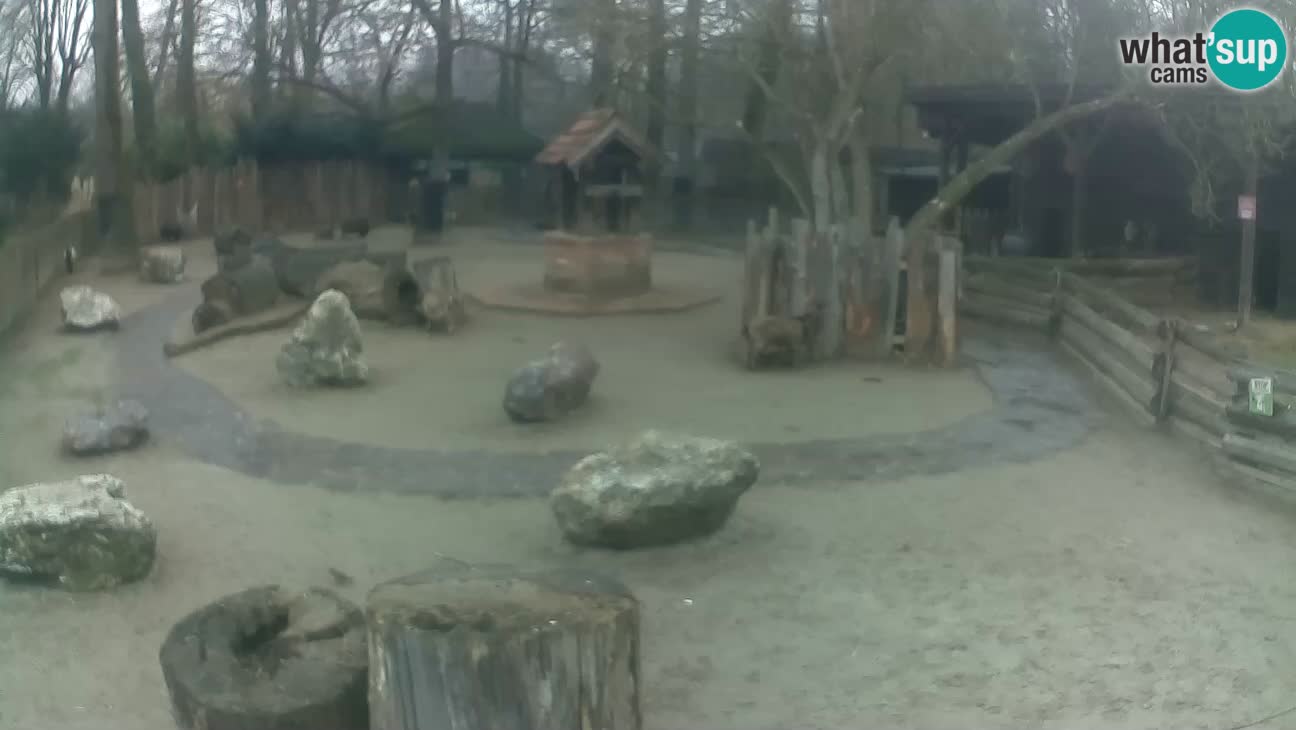 Zoo Zagreb –  Mono maicero