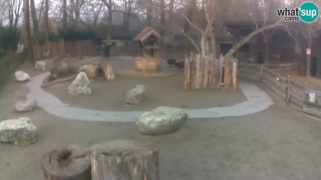 Zoo Zagreb – Cebo dai cornetti