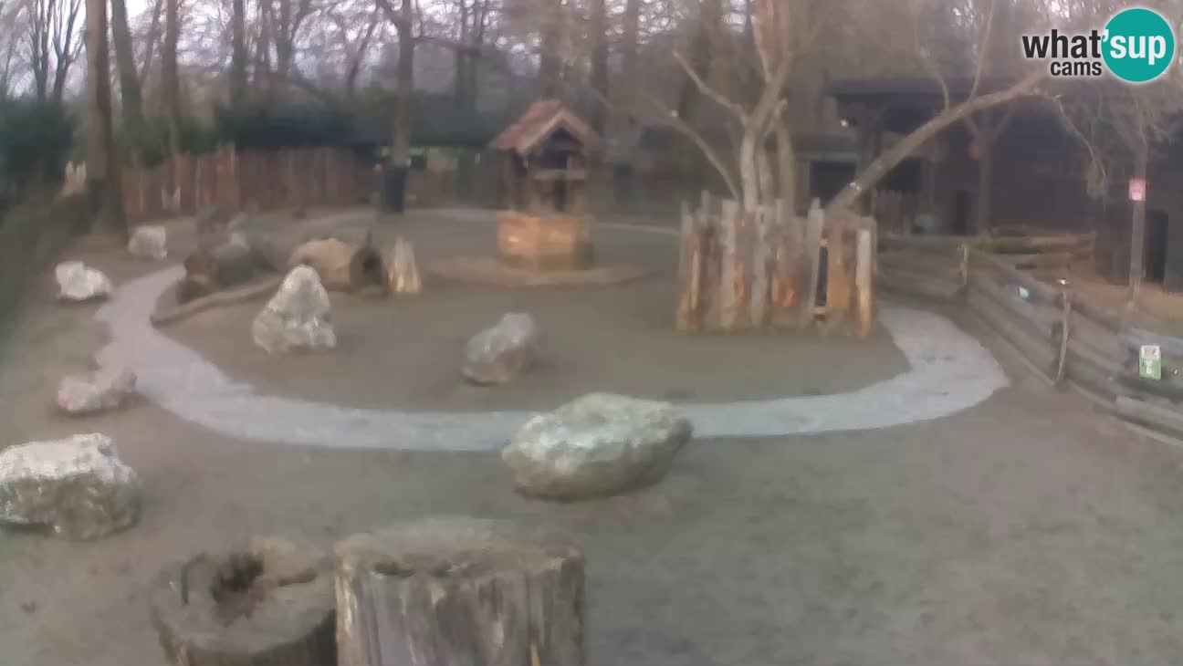 Zoo Zagreb –  Mono maicero