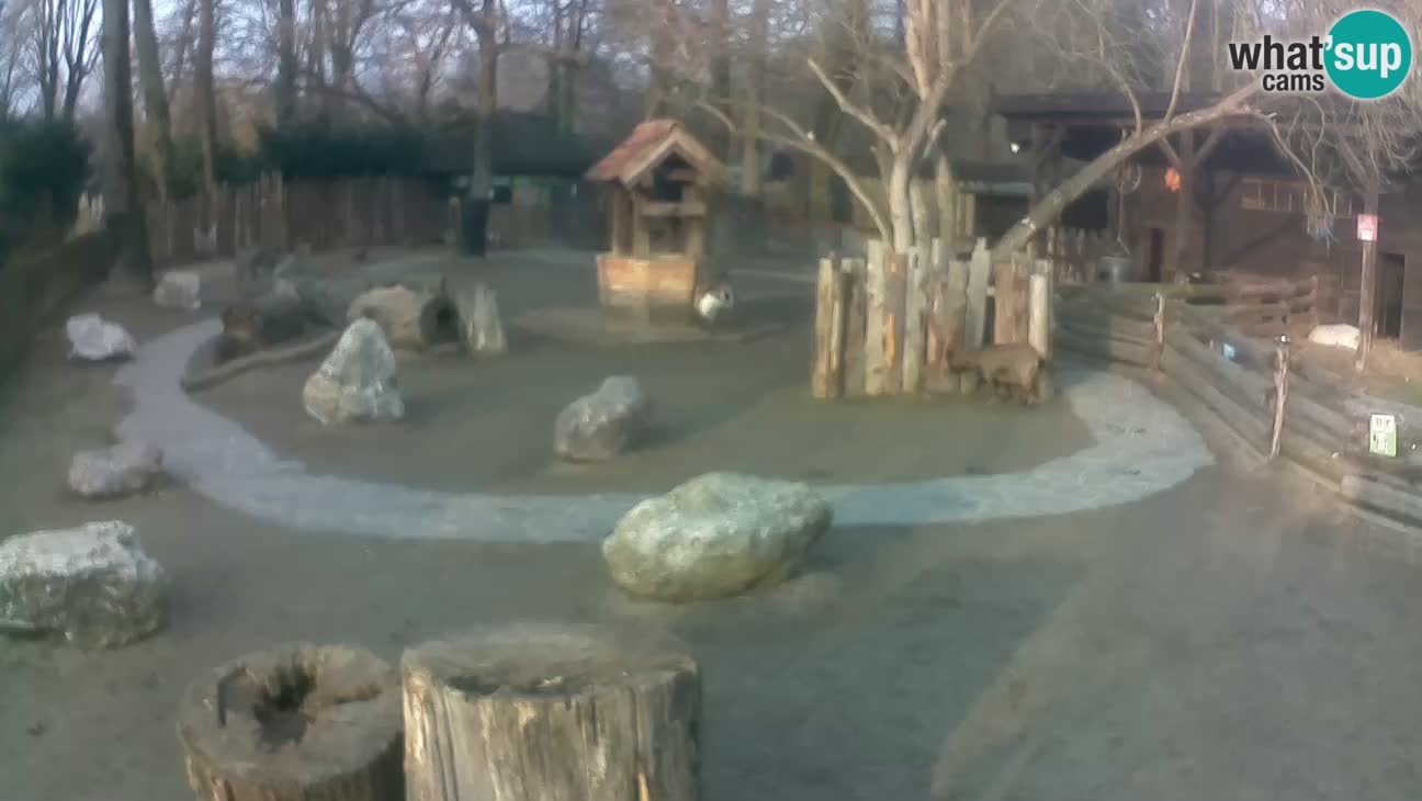 Zoo Zagreb – Cebo dai cornetti