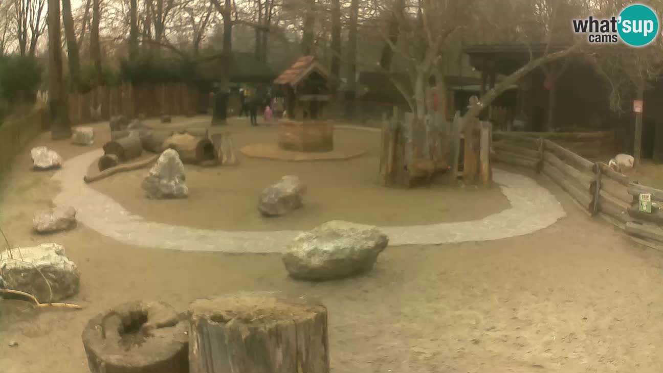 Zoo Zagreb – Cebo dai cornetti