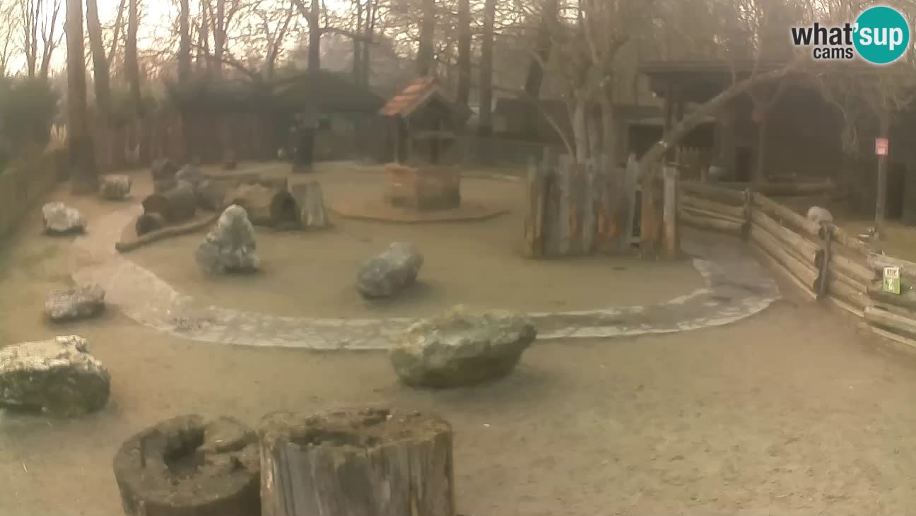 Zoo Zagreb –  Mono maicero