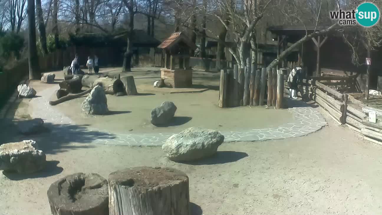 Zoo Zagreb –  Mono maicero