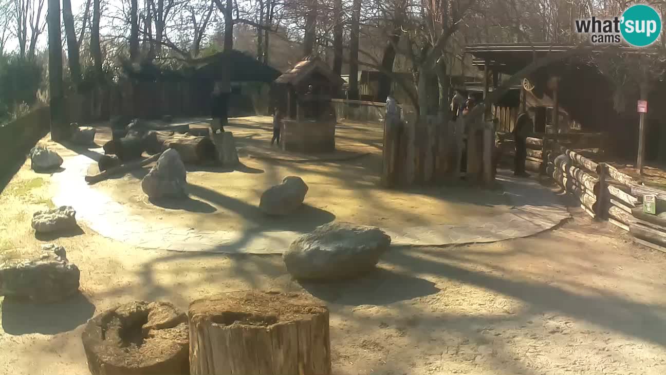 Zoo Zagreb – Haubenkapuziner