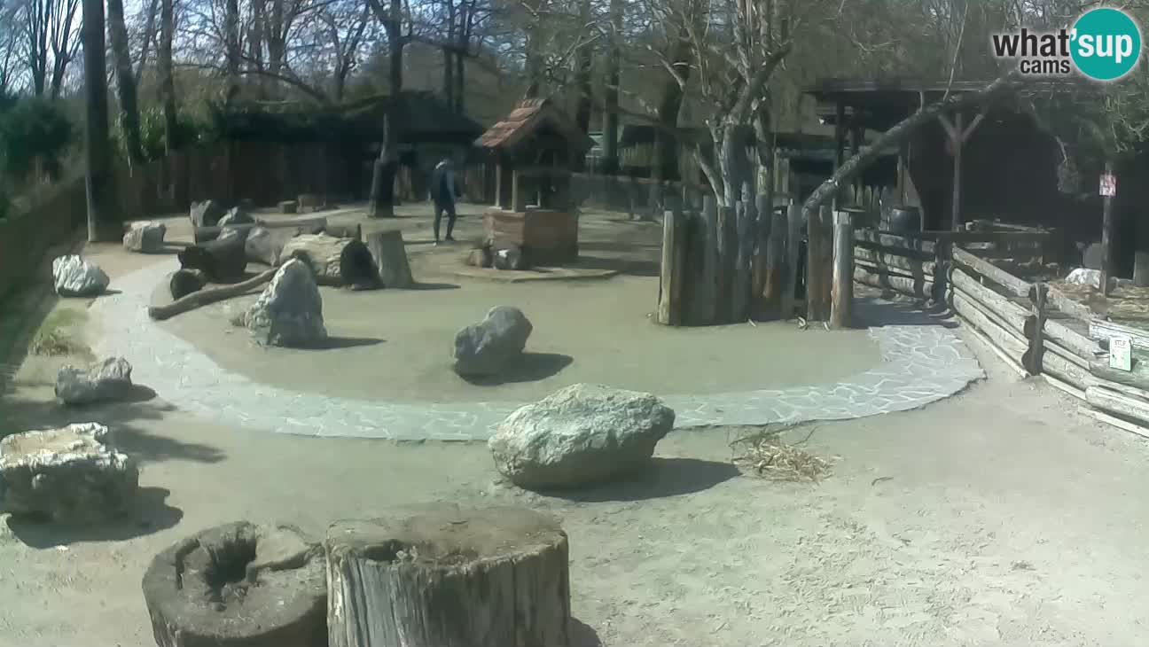 Zoo Zagreb – Cebo dai cornetti