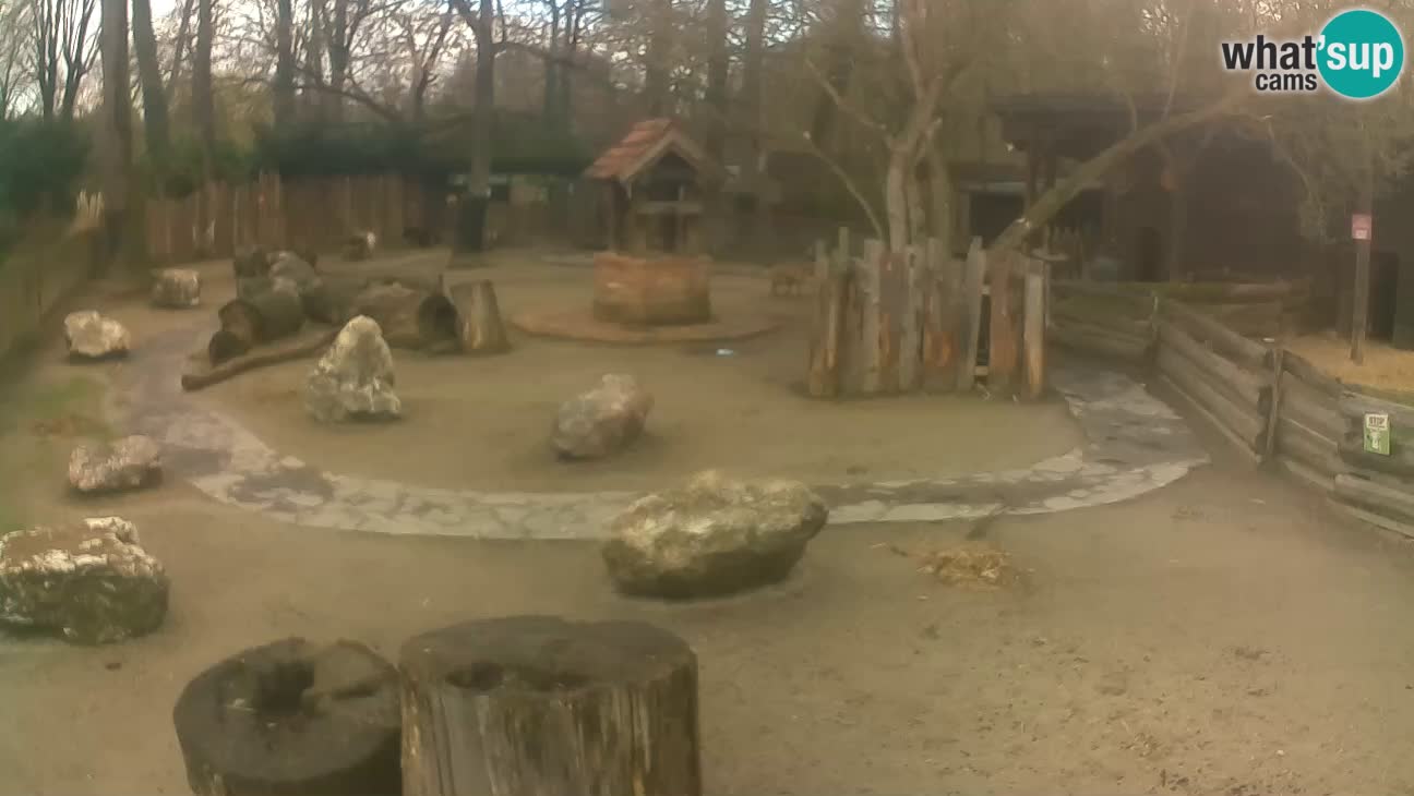 Zoo Zagreb – Haubenkapuziner