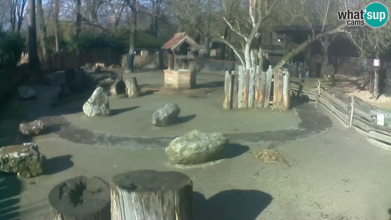 Zoo Zagreb –  Mono maicero