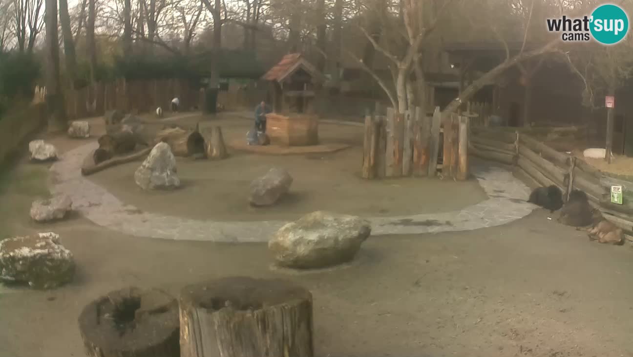 Zoo Zagreb – Haubenkapuziner