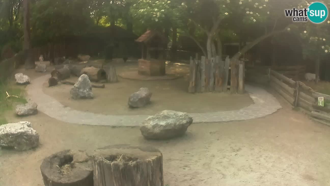 Zoo Zagreb – Cebo dai cornetti