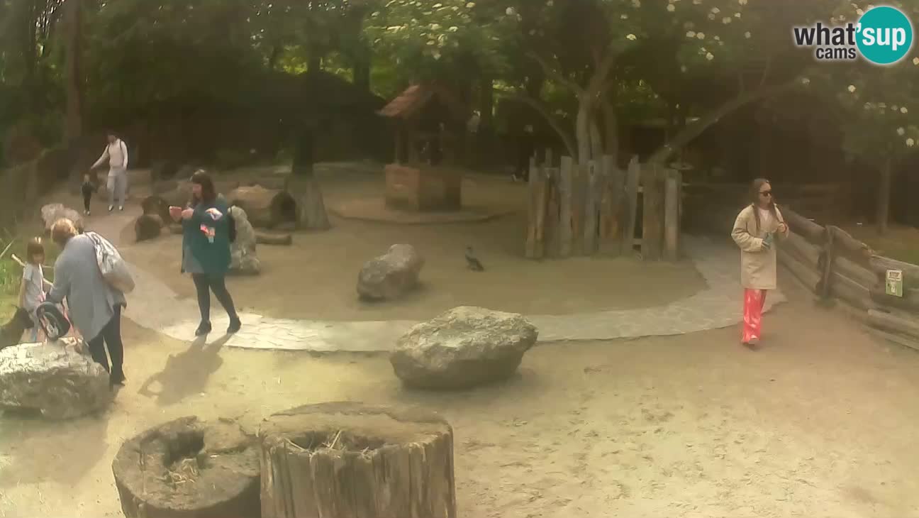 Zoo Zagreb – Cebo dai cornetti