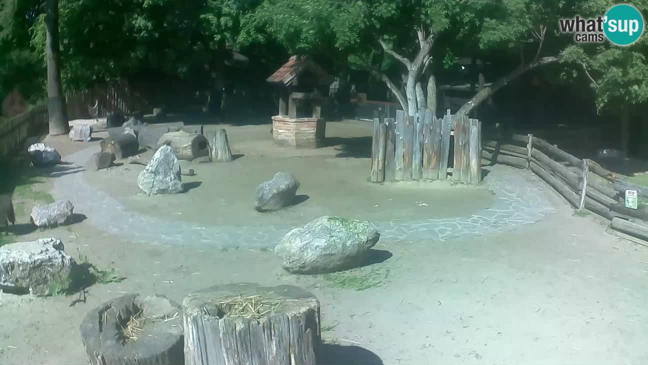 Zoo Zagreb – Cebo dai cornetti