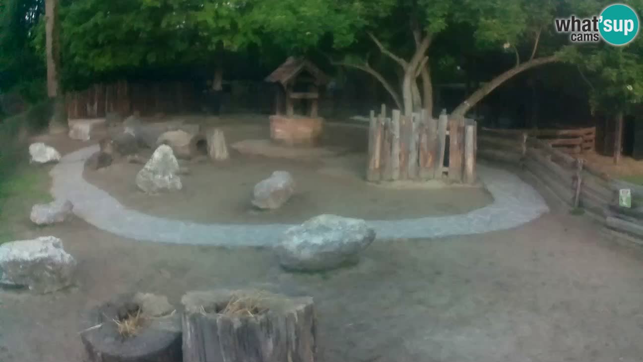 Zoo Zagreb – Cebo dai cornetti