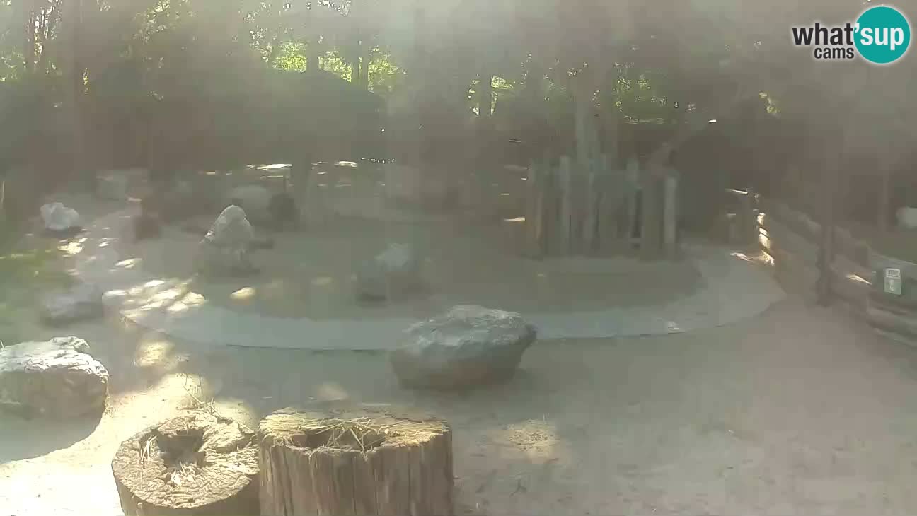 Zoo Zagreb – Cebo dai cornetti