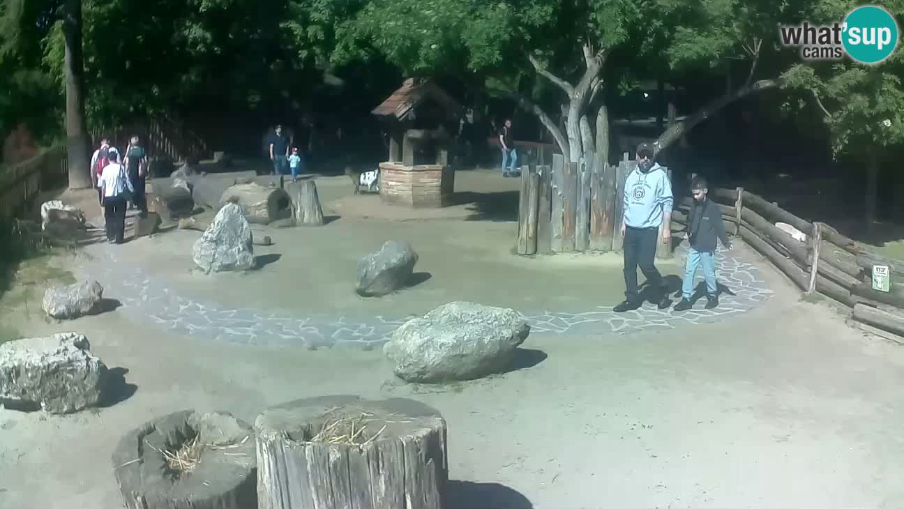 Zoo Zagreb –  Mono maicero