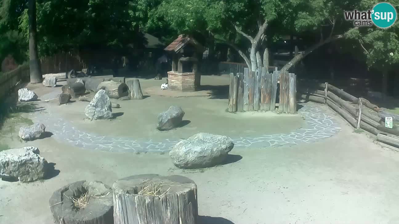 Zoo Zagreb –  Mono maicero
