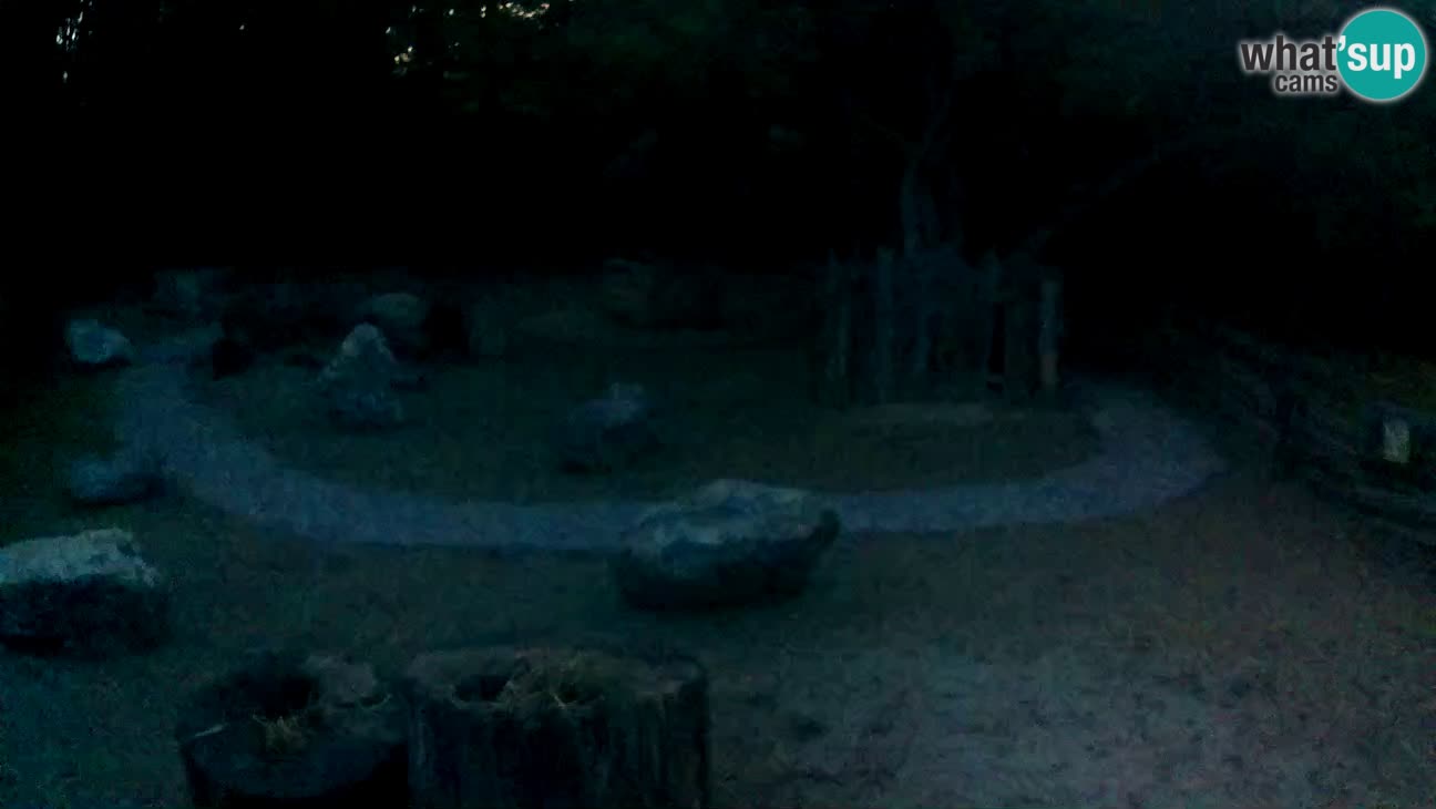 Zoo Zagreb –  Mono maicero