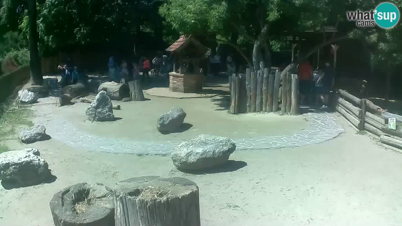 Zoo Zagreb – Cebo dai cornetti