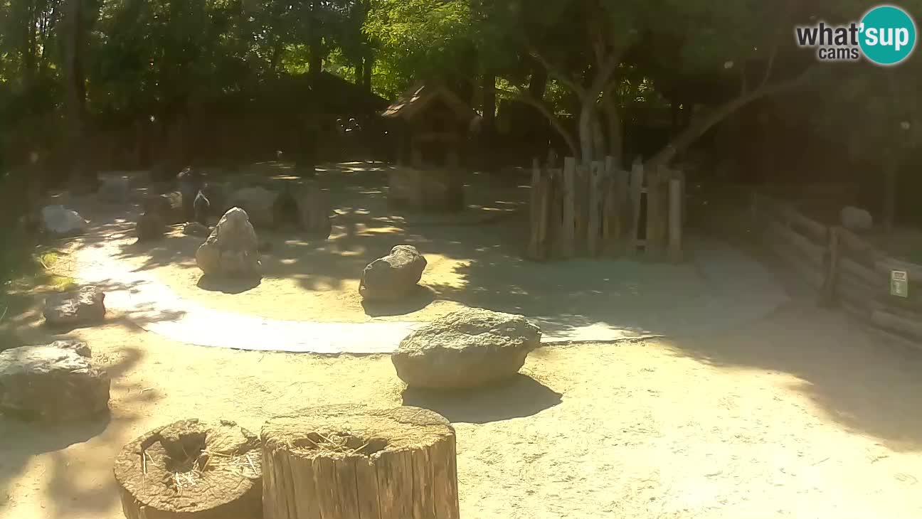 Zoo Zagreb –  Mono maicero