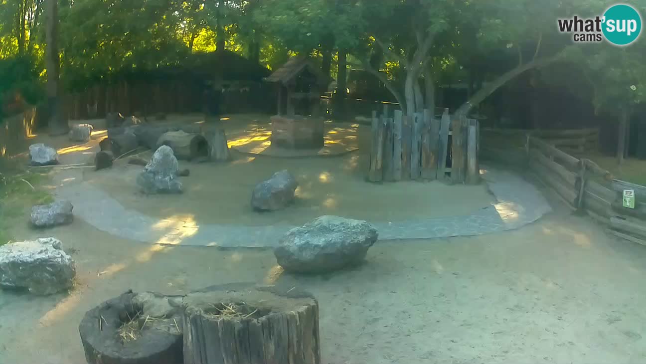 Zoo Zagreb – Cebo dai cornetti