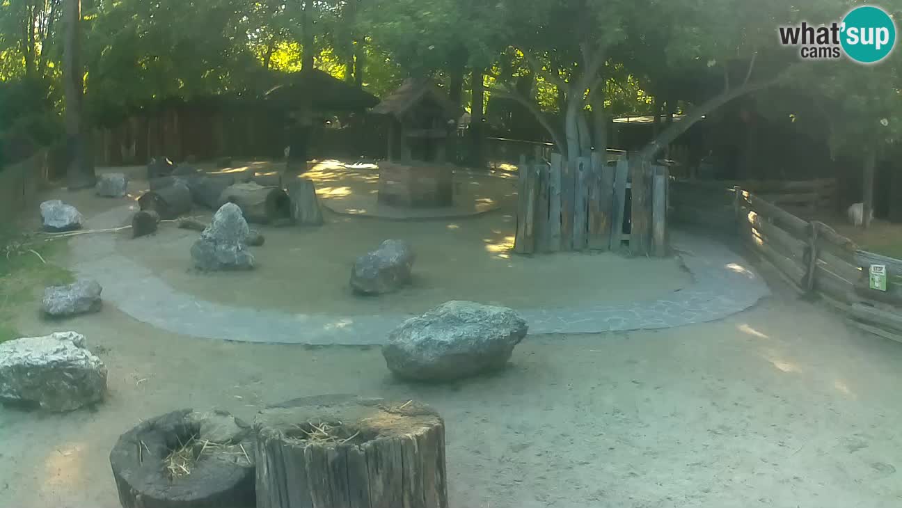 Zoo Zagreb – Cebo dai cornetti