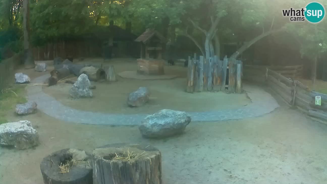 Zoo Zagreb – Cebo dai cornetti