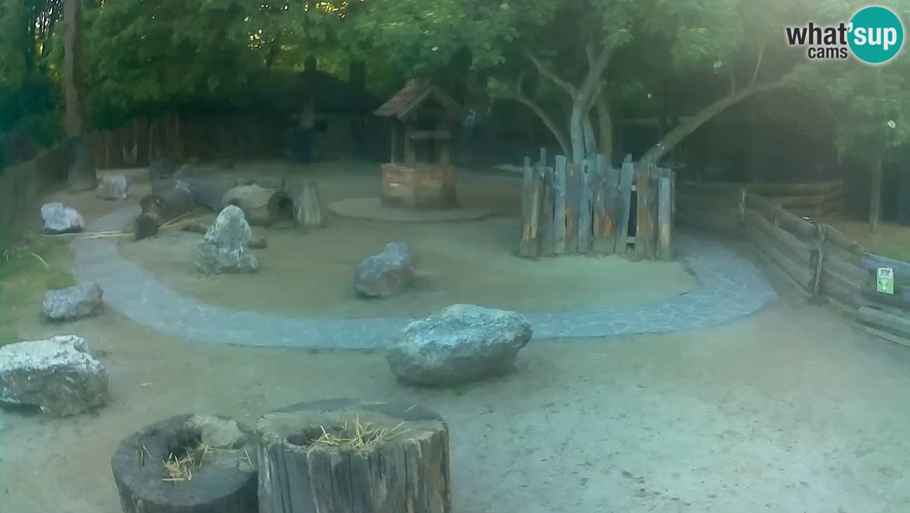 Zoo Zagreb –  Mono maicero