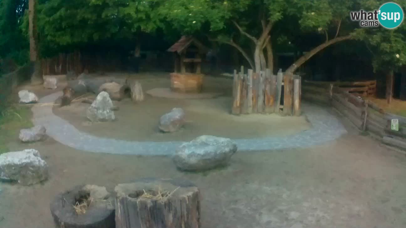Zoo Zagreb – Cebo dai cornetti