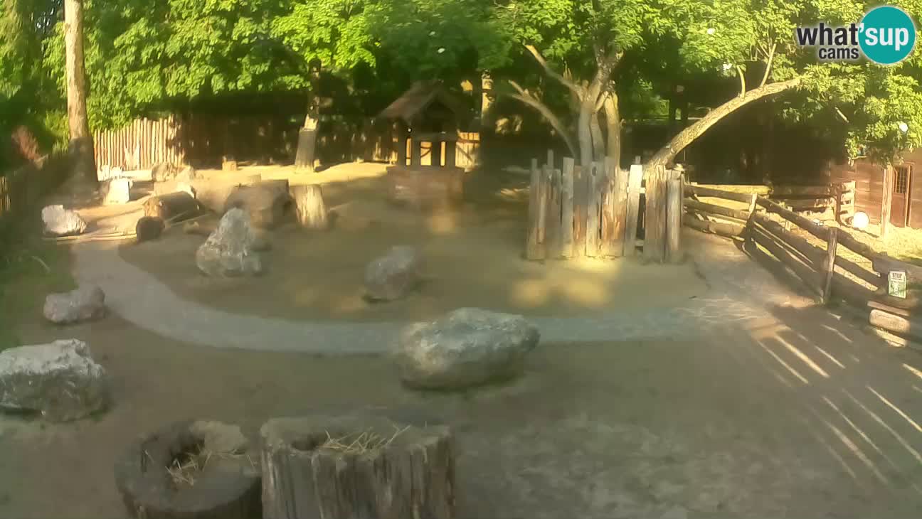 Zoo Zagreb – Cebo dai cornetti