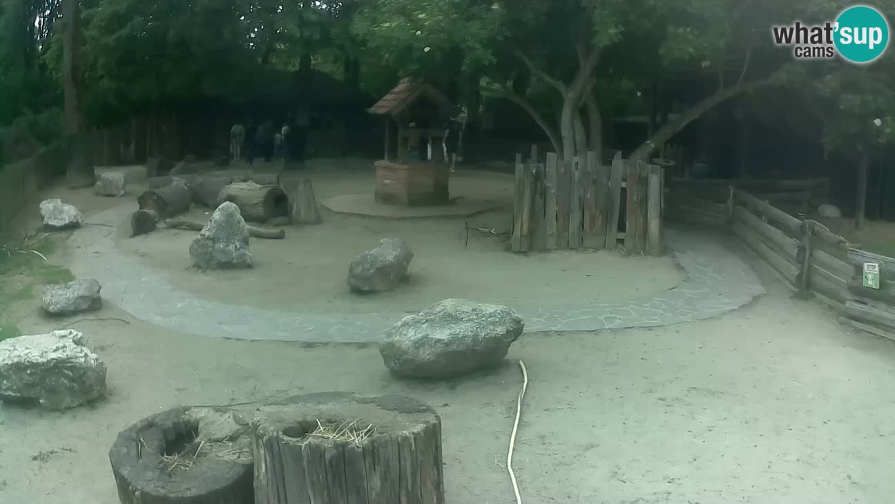 Zoo Zagreb – Haubenkapuziner