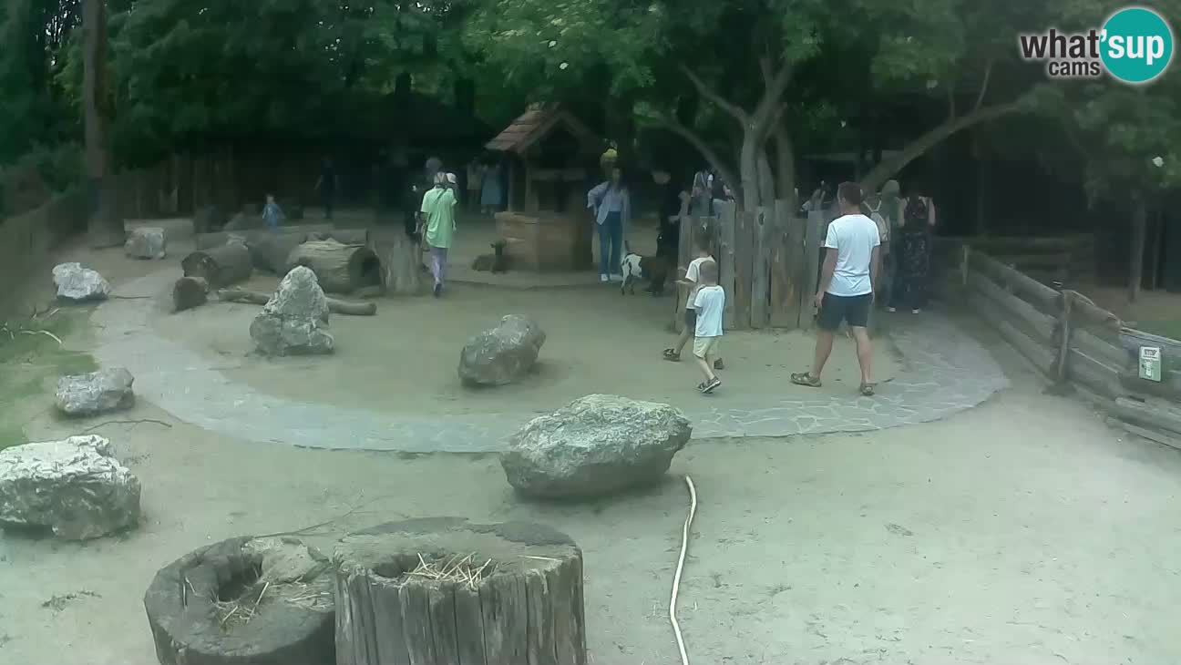 Zoo Zagreb – Cebo dai cornetti