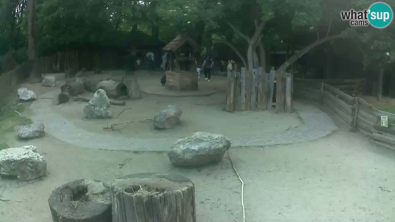 Zoo Zagreb – Cebo dai cornetti