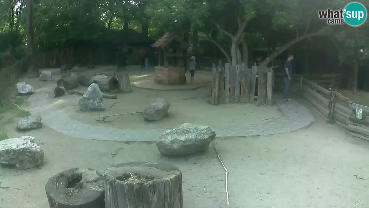 Zoo Zagreb – Cebo dai cornetti