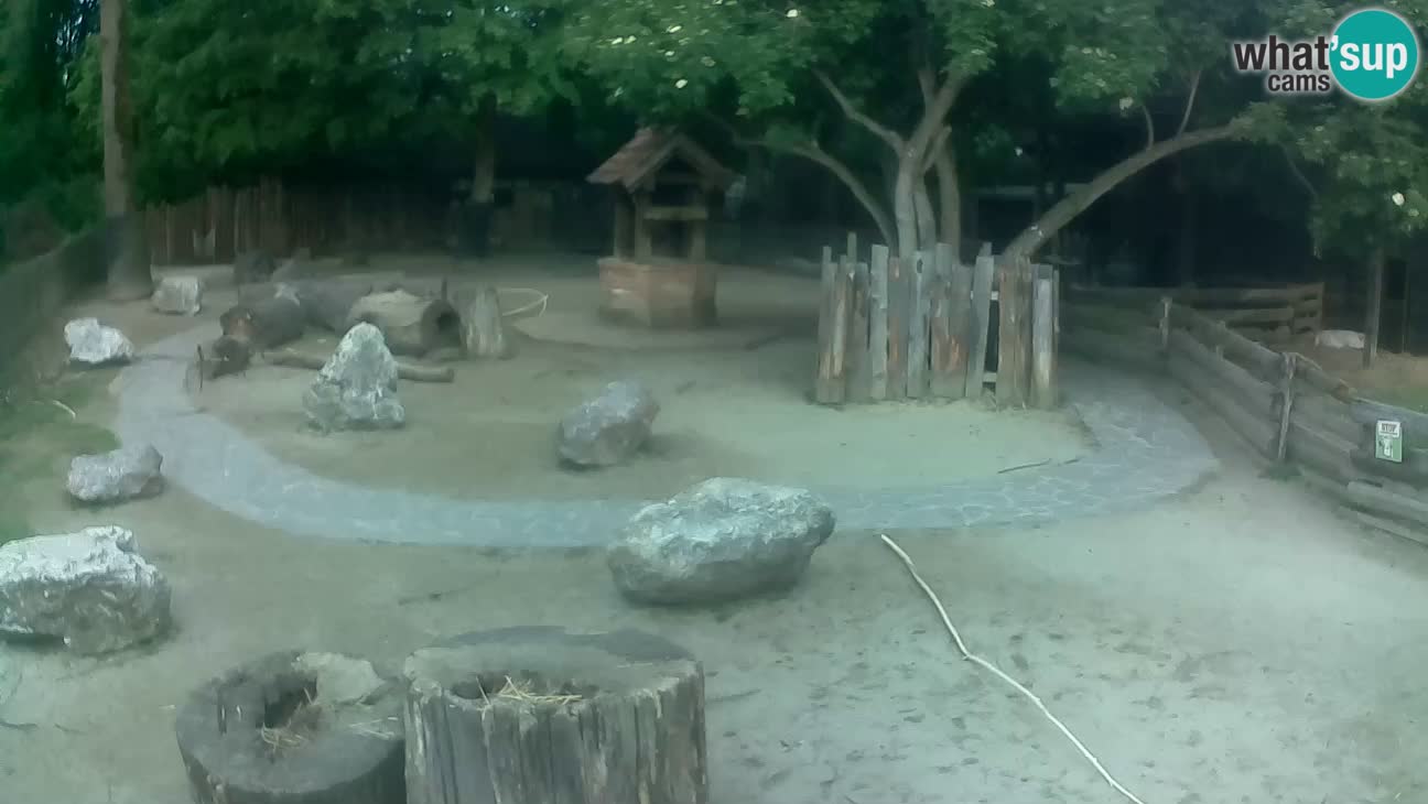 Zoo Zagreb – Cebo dai cornetti
