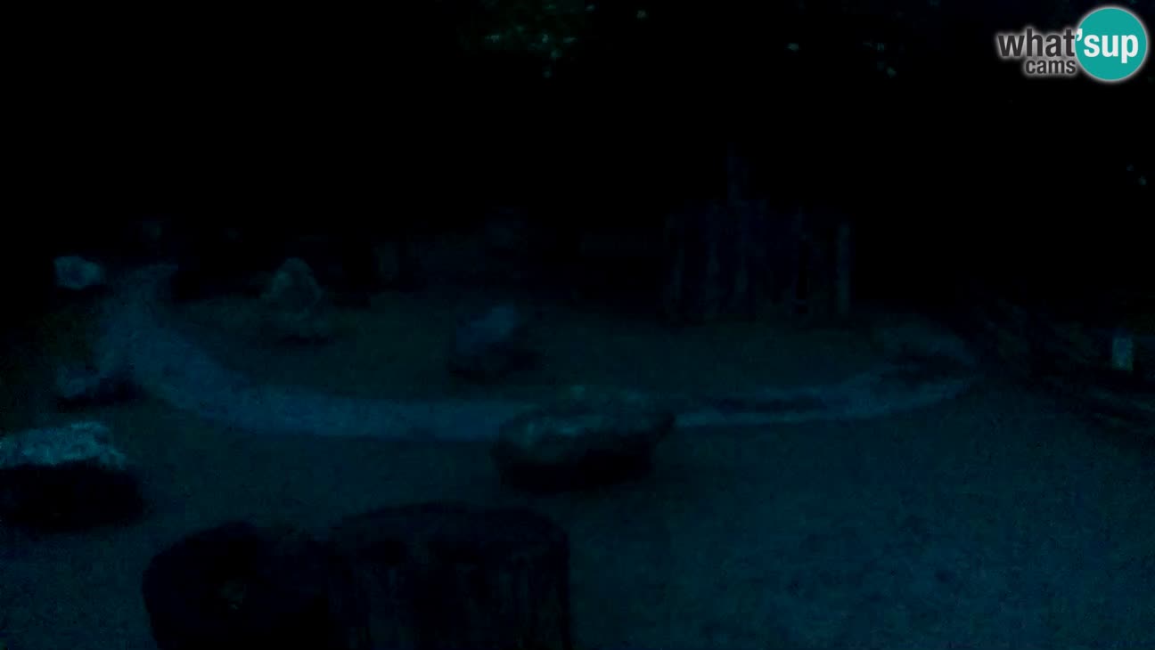 Zoo Zagreb – Cebo dai cornetti