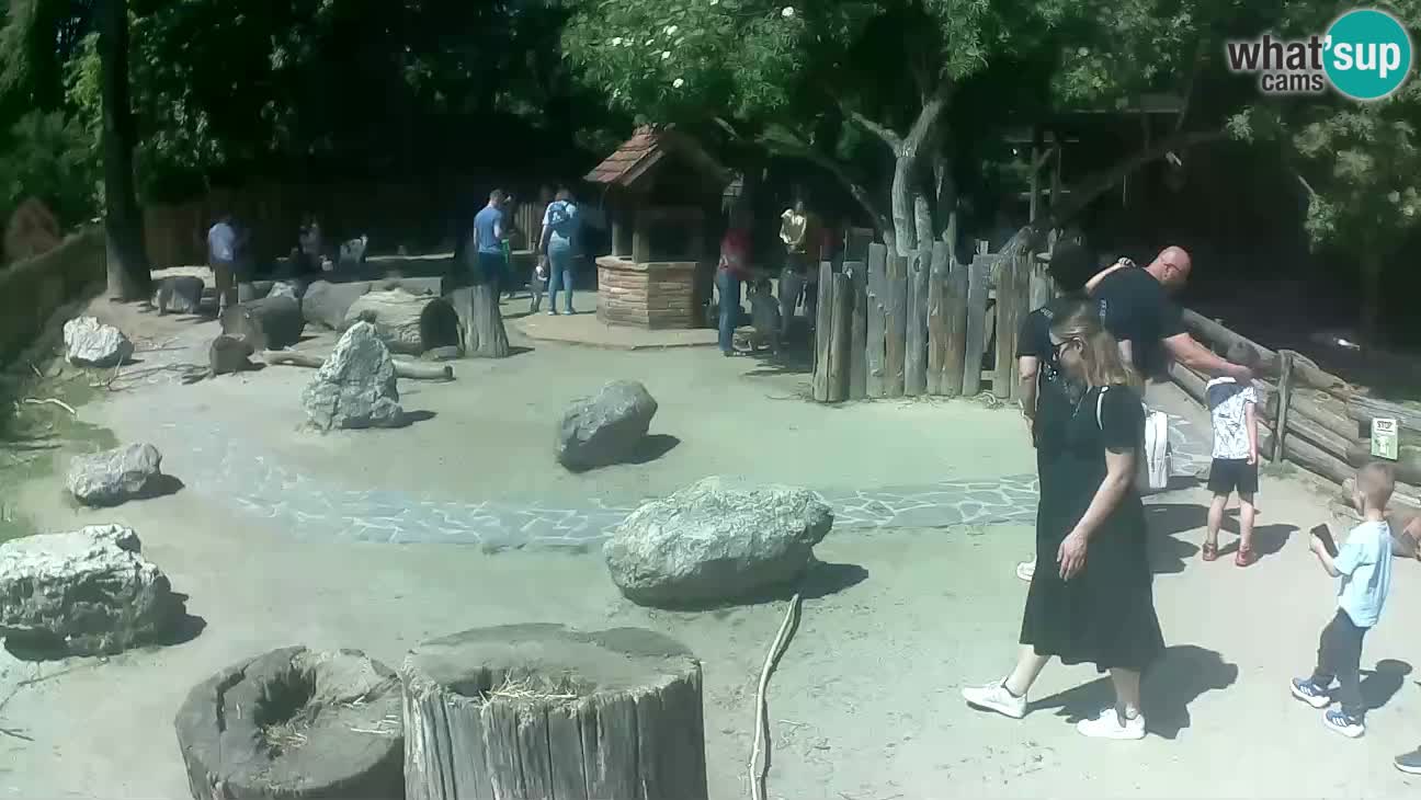 Zoo Zagreb –  Mono maicero