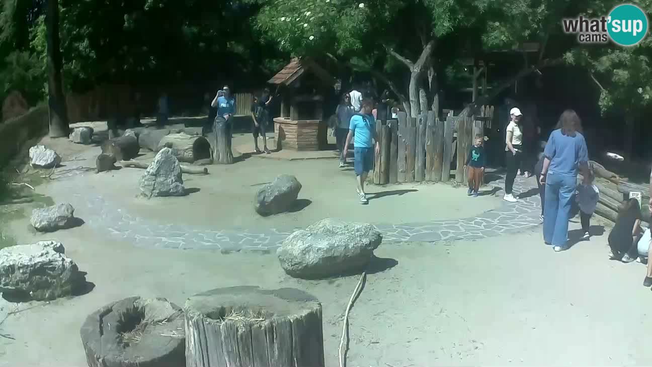 Zoo Zagreb – Cebo dai cornetti