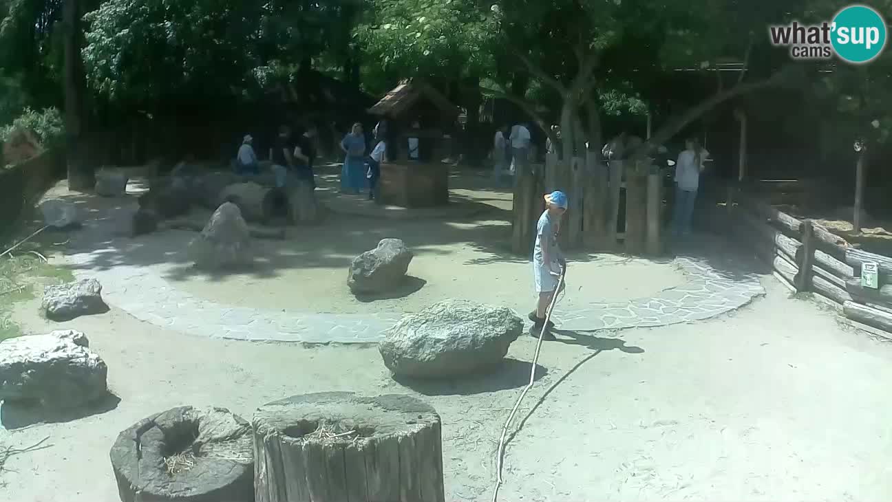 Zoo Zagreb –  Mono maicero