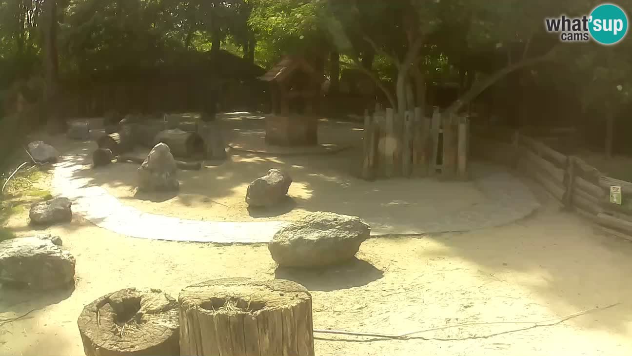 Zoo Zagreb – Cebo dai cornetti