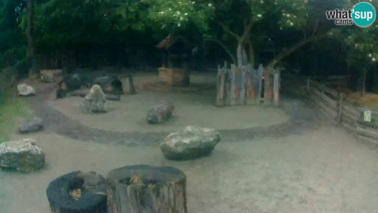 Zoo Zagreb – Cebo dai cornetti