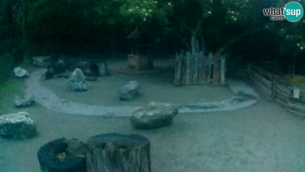 Zoo Zagreb – Cebo dai cornetti