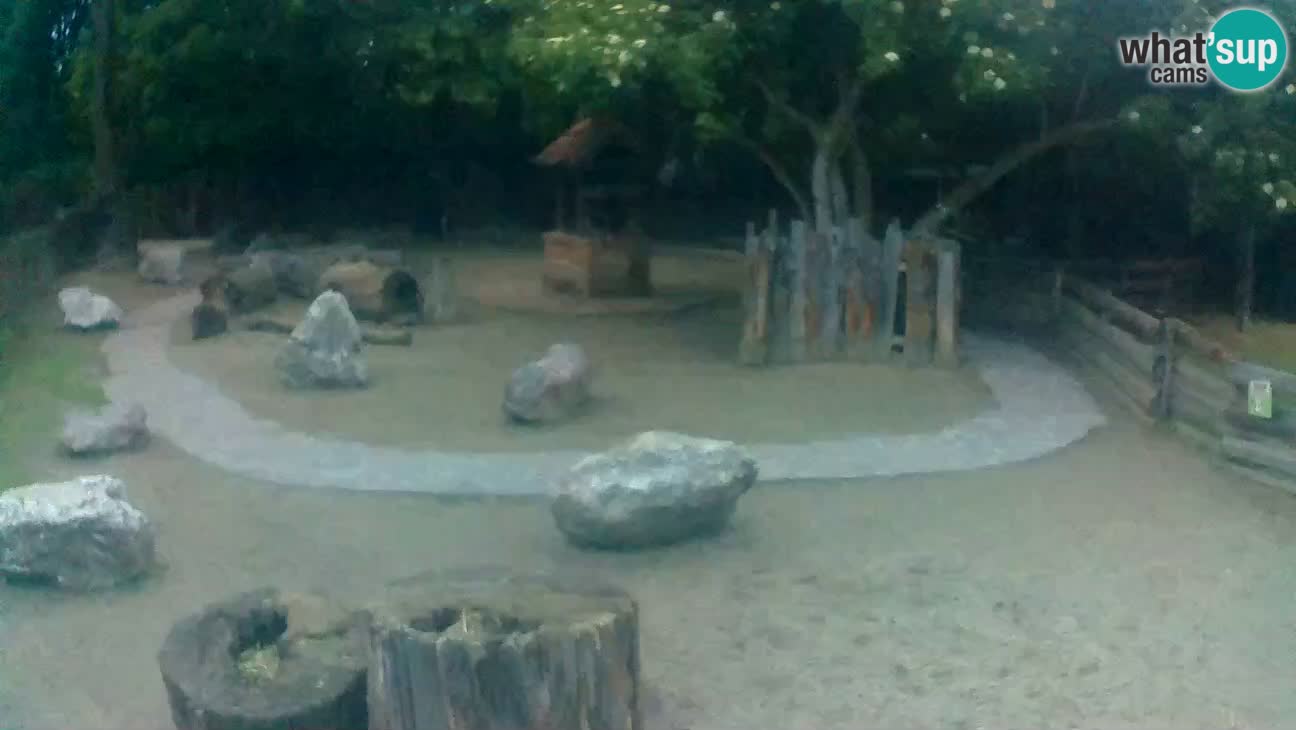 Zoo Zagreb – Cebo dai cornetti