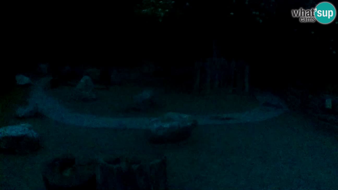 Zoo Zagreb – Cebo dai cornetti