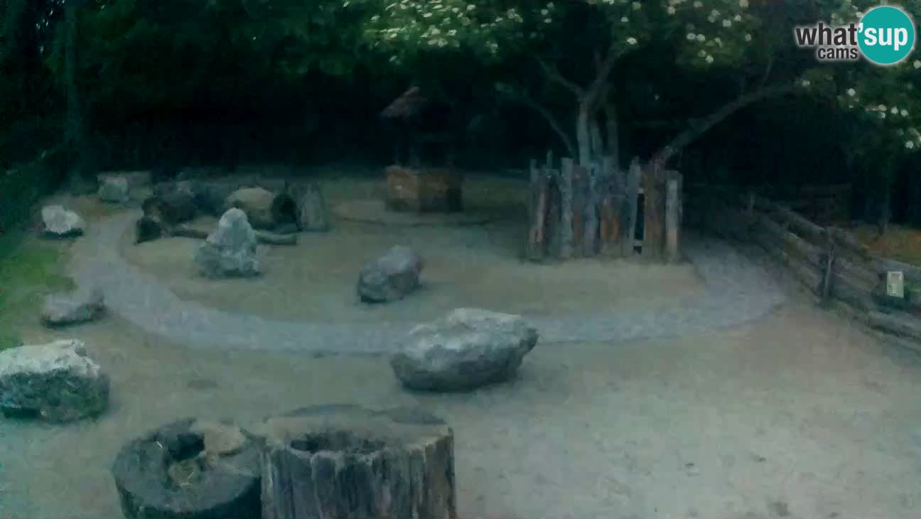 Zoo Zagreb – Cebo dai cornetti