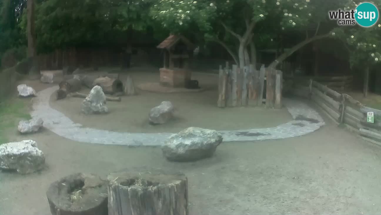 Zoo Zagreb – Cebo dai cornetti